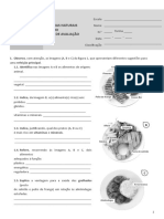 Ctic6 20 21 Teste1