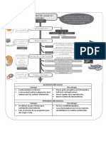 Cuadro Sinóptico Reproducción Sexual y Asexual en Animales