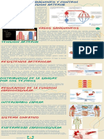 Infografia Cap 15 Flujo Sanguineo Yudi Jimena Pinchao