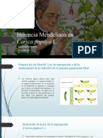 Herencia Mendeliana en Carica Papaya L.