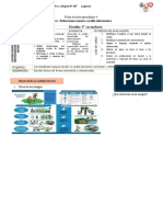 Ficha de Autoaprendizaje 4 Elaboramos Nuestra Cartilla Informativa