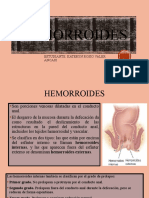 HEMORROIDES