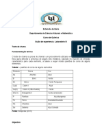 Protocolo I - Teste de Chama