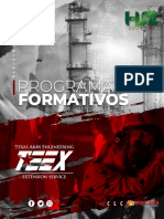 Compilatorio TEEX HSE Cursos Completos