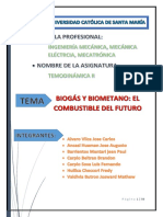 Informe Biogas Biometano