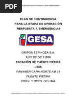 Plan Contingencias Puente Piedra