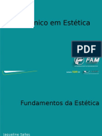 Fundamentos Da Estetica Aula - 01