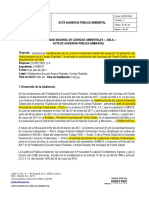 Acta de Audiencia Publica-Campo Rubiales