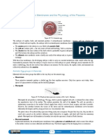 15.7E Extraembryonic Membranes and The Physiology of The Placenta