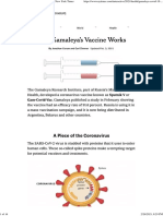 How Gamaleya's Sputnik V Vaccine Works