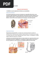 FundamentosBiomedicos Trabajo2 LilianHQ