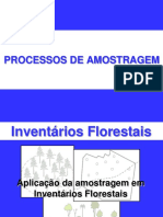 Aulas Inventário Florestal