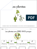 Las Plantas para Completar