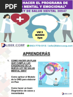 Como Hacer Un Programa de Salud Mental y Emocional 5 Marzo