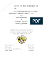 Feasibility Report On The Production of Polypropylene: Chemical Engineering