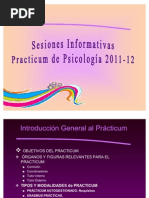 Introduccion Practicum