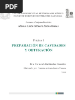 Práctica 01. Preparación de Cavidades y Obturación