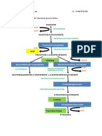 B15 Lim, Carlo Martin, Perio Lim - GLYCOLYSIS