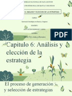 Capitulo 6-Analisis y Eleccion de La Estrategia