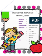 Cuaderno de Incidencias