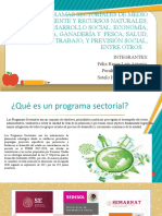 6.1.6 Programas Sectoriales de Medio Ambiente y Recursos Naturales Desarrollo Social Economía Agricultura Ganadería y Pesca Salud Turismo Trabajo y Previsión Social, Entre Otros