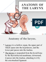 Anatomy of The Larynx