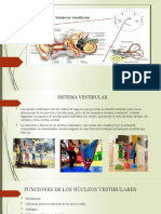 Sistema Vestibular