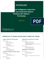 Lab 9-10 Mesenchymal Tumours. MM Teratomas