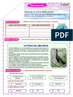 Plan Lector Pava-Aliblanca