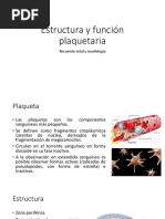 Estructura Funcion Plaquetaria y Recuento