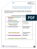 Identification of Plant Phyla