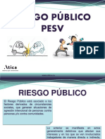 Riesgo Publico PESV