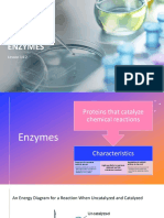 C1 W14 Enzymes