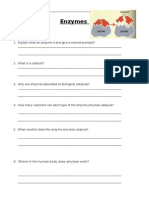 Enzyme Worksheet