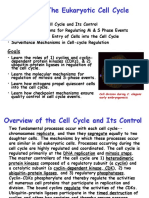 Cell Cycle & Its Regulation