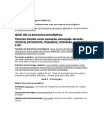 Quais São Os Processos Psicológicos Funções Mentais Como Sensação, Percepção, Atenção, Memória, Pensamento, Linguagem, Motivação, Aprendizado e Etc