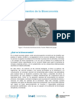 Fundamentos de La Bioeconomía