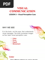 Lesson 3 Visual Perception Cues