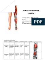 Tabla Musculos Miembro Inferior Edicion 2017