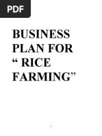 Business Plan For Rice Farming