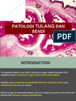 Patologi DAN Sendi: Tulang