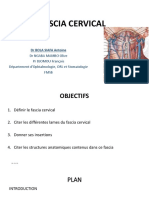 Fascia Cervical Et Vascularisation