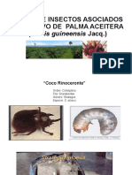 Charla 2017-Insectos Asociados Al Cultivo de La Palma Aceitera 2018