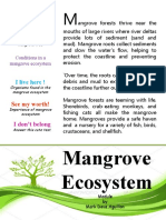 Mangrove Ecosystem