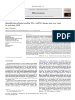 Quantification of Mitochondrial DNA