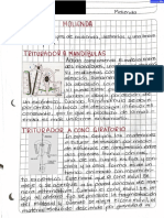 Tipos de Molinos para Moliendo