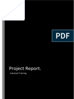 FInal Project Report