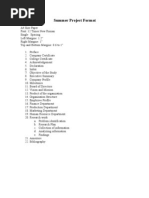 Summer Internship Project Report Format