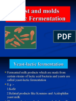 Yeast and Molds Lactic Fermentation