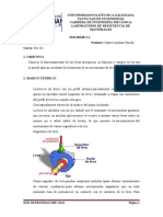 Informe Levas